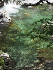 綺麗な水の渓流