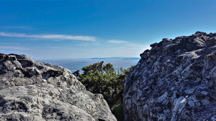Huge gray spotted boulders on top of Table Mountain. Green fynbos grows in a crevice. Blue sky. Cape Town. South Africa