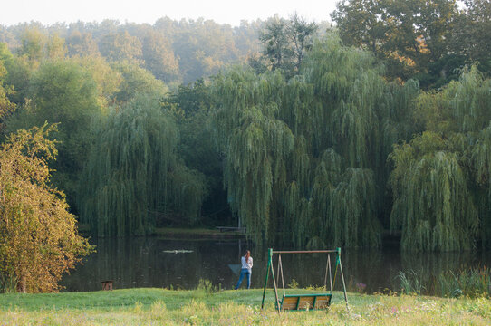 Forest pond
