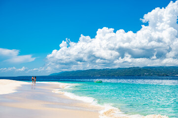 paradise tropical beach palm