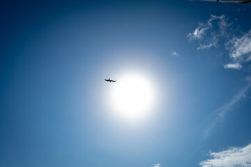 bird frigate over the island