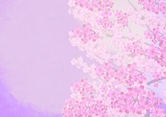 桜の背景素材5