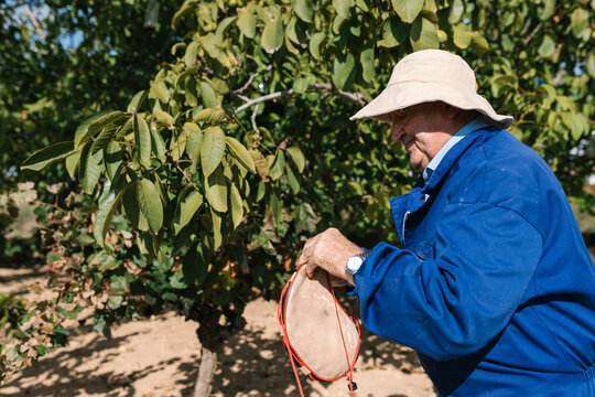 Farmer with bota bag in garden