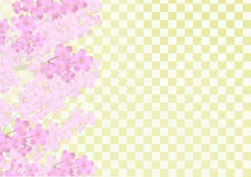 桜の背景素材7