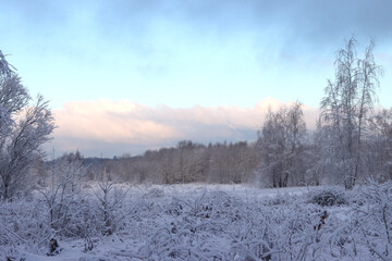 Obraz na płótnie Canvas Winter, forest landscape.