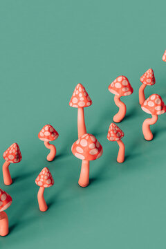 pink mushrooms arranged in row on green background