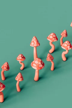 pink mushrooms arranged in row on green background