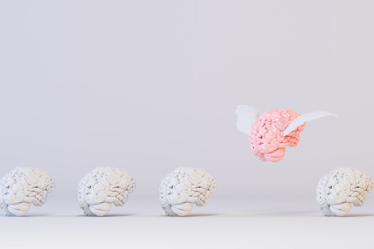 White brains set with one that flies away