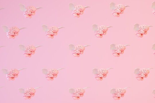 Pink flying brains