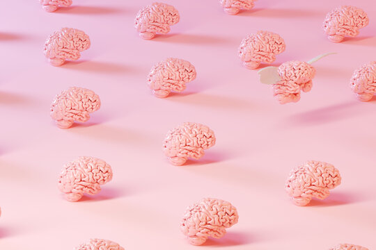 brain pattern with one that flies away