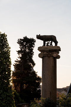 The Capitoline Wolf in Rome