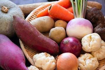 根菜のイメージ(2)