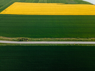 Green and yellow field