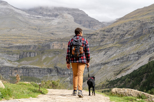 Hiker man with his dog walking in the mountain