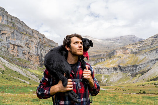 Hiker man with his dog in the mountain