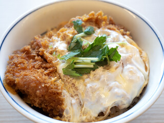Japanese katsudon