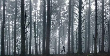 Foggy Forest and Anonymous Person