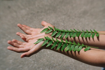 Environmental Care Concept Image