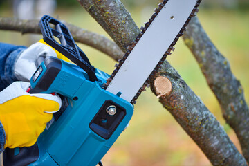 A gardener pruns trees with a lightweight cordless chain saw. Work in the autumn garden.