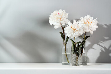 Fototapeta na wymiar Elegant white peonies flowers arrangement on table wall background. Template for text or artwork, trendy shadows