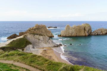 Beautiful landscape of the sea and rocks behind flowers