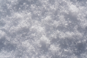 Snow background, snow texture. Winter snow background.