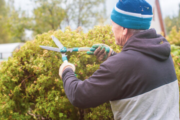Farmer hands who make pruning of bushes with large garden shears. Gardening Tools. Agricultural concept. Farming season.