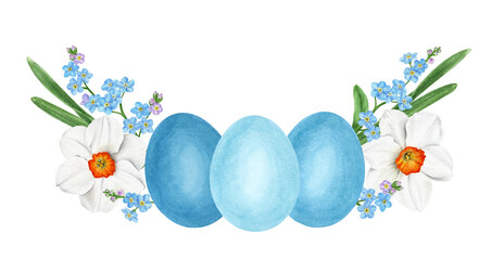 Easter composition with daffodils, forget-me-nots and blue eggs.  Watercolor illustration