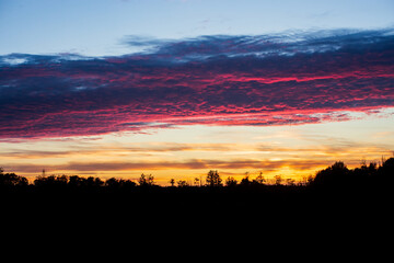 Fototapeta premium Sunset with the silhouette of the forest. There is space for text.