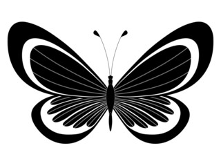 Butterfly. Stylized vector. Set of black and white insects. Abstract butterflies silhouettes isolated on white background for use as design elements or logo. Coloring book page