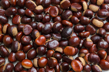 Chestnuts hedgehog texture composition