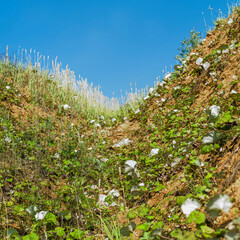 Obraz premium Climbing up a hill