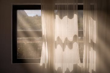 Peaceful Window Light