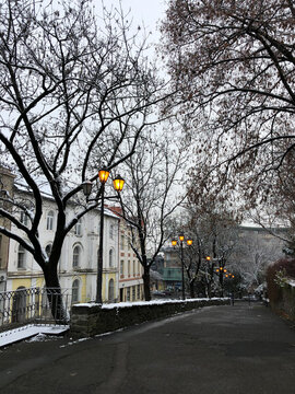 Warm winter