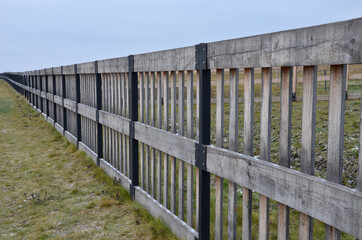 oak log fencing with barrier-free access for seniors and the immobile. safari zoo with a large paddock for large dangerous mammals of the Przewalski's horse. electric fence, tension spring