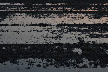 夜の田畑の雨上がり