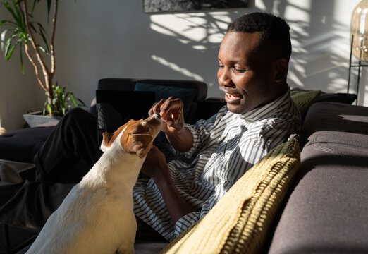 Man Playing With Dog On The Sofa