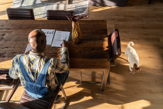 Person Studying Documents At Home 