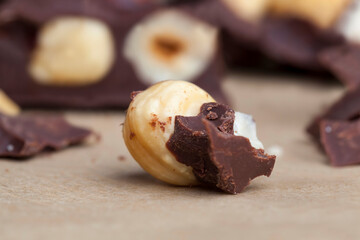 homemade chocolate with lots of cocoa and hazelnuts