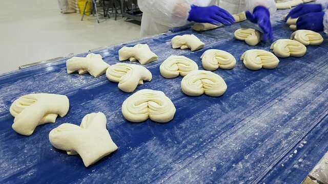 Group of female workers making delicious sweet buns of dought on a moving conveyor belt. Modern automated bakery. Food production industry.