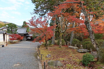 Fototapeta na wymiar Shinnyosan-sou Inn and Shoin Repository and autumn leaves in the precincts of Shinnyo-dou Temple in Kyoto City in Japan 日本の京都市にある真如堂境内の真如山荘と書院と紅葉