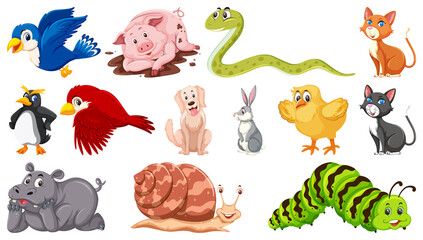 Set of isolated various animals