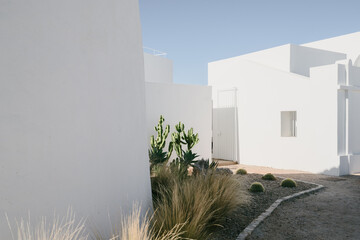 Mediterranean Garden