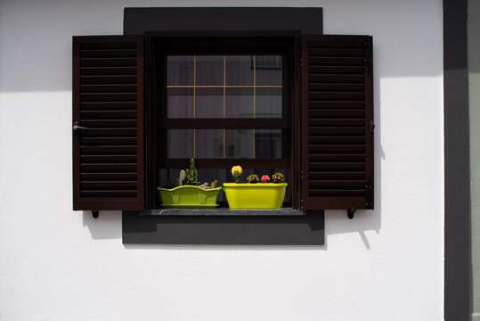 Window with pots and cacti