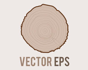 vector tree with woodgrain ring natural texture from top view