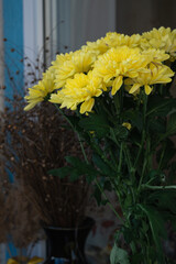 A bouquet of yellow chrysanthemums next to a bouquet of dried flax. Floral background.