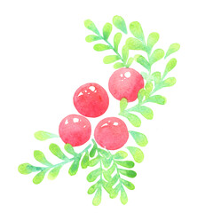 Red berry and fern leaves watercolor for decoration on Christmas holiday events.