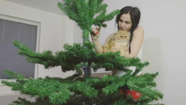 Woman assembling the Christmas tree in her living room and holding cat
