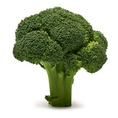 Fresh natural organic broccoli isolated on white background