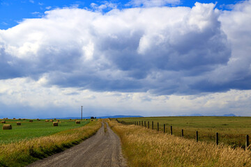 Fototapeta na wymiar Canadian Prairies Landscape Alberta Canada